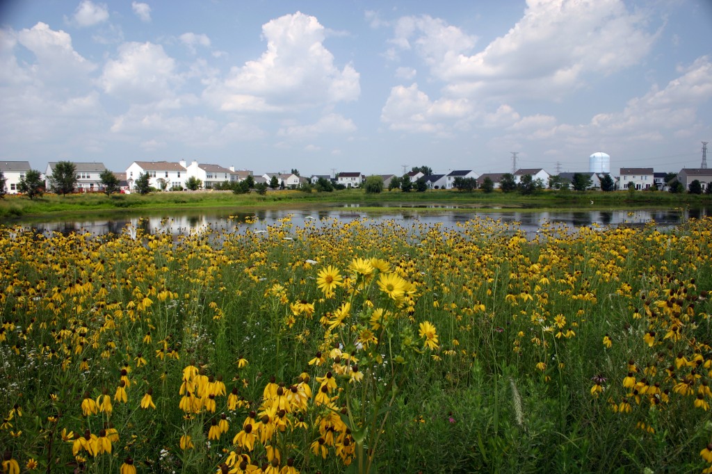 6Clear_pond_Illinois