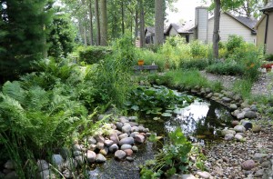 Wild Ones, Linda and Dallas Howard, have turned their backyard, planted with native plants, into an oasis for pollinators and aquatic life.