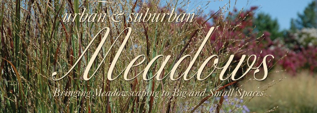 Urban Suburban Meadows The Meadow Project - 